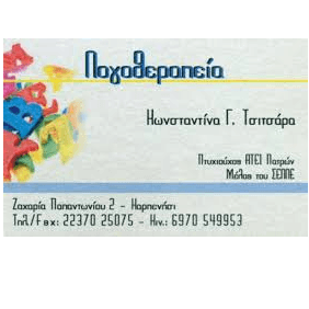 ΛΟΓΟΘΕΡΑΠΕΥΤΡΙΑ ΛΟΓΟΠΕΔΙΚΟΣ ΚΑΡΠΕΝΗΣΙ ΤΣΙΤΣΑΡΑ ΚΩΝΣΤΑΝΤΙΝΑ