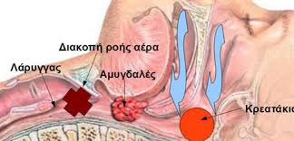 ΧΕΙΡΟΥΡΓΟΣ ΩΤΟΡΙΝΟΛΑΡΥΓΓΟΛΟΓΟΣ ΑΡΧΑΓΓΕΛΟΣ ΡΟΔΟΣ ΝΙΚΟΛΟΥ ΧΑΡΑΛΑΜΠΟΣ