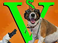 ΚΤΗΝΙΑΤΡΕΙΟ ΚΤΗΝΙΑΤΡΟΣ VET DOC ΠΥΛΑΙΑ ΘΕΣΣΑΛΟΝΙΚΗ ΚΥΡΙΑΚΙΔΟΥ ΜΑΡΙΑ