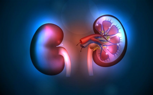 ΟΥΡΟΛΟΓΟΣ ΧΕΙΡΟΥΡΓΟΣ ΑΝΔΡΟΛΟΓΟΣ ΛΑΜΙΑ ΦΘΙΩΤΙΔΑ ΣΚΑΡΜΟΥΤΣΟΣ ΙΩΑΝΝΗΣ