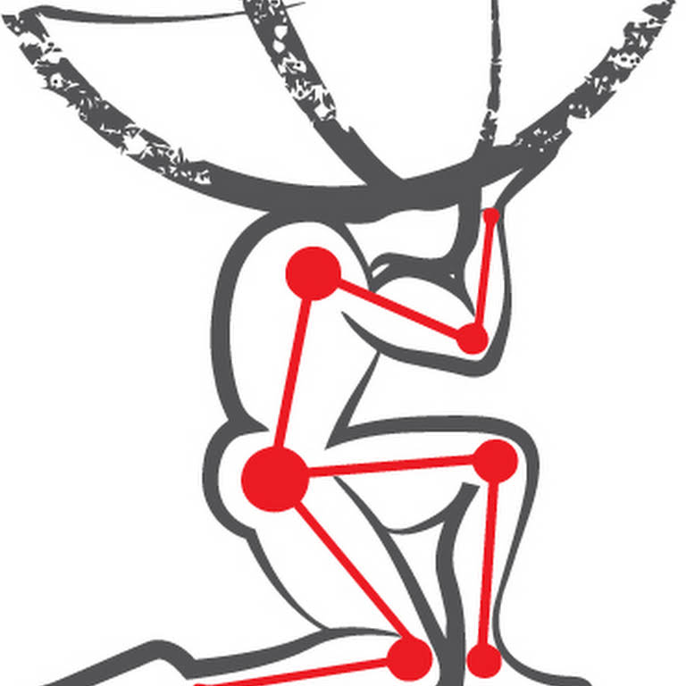 ΟΡΘΟΠΕΔΙΚΟΣ ΧΕΙΡΟΥΡΓΟΣ ΤΡΙΚΑΛΑ ΠΑΠΑΒΑΣΙΛΕΙΟΥ ΕΥΑΓΓΕΛΟΣ