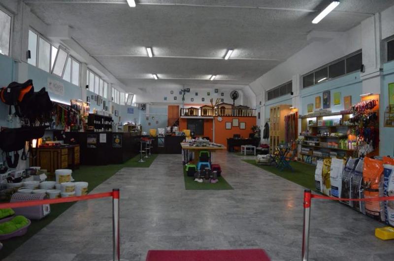 ΚΤΗΝΙΑΤΡΟΣ ΚΤΗΝΙΑΤΡΙΚΗ ΚΛΙΝΙΚΗ ΜΟΛΑΟΙ ΛΑΚΩΝΙΑ ΧΡΙΣΤΑΚΟΣ ΓΕΩΡΓΙΟΣ