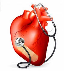 ΕΙΔΙΚΗ ΚΑΡΔΙΟΛΟΓΟΣ ΣΟΥΦΛΙ ΕΒΡΟΣ ΚΑΤΣΙΚΑ ΦΥΛΛΑΡΙΔΟΥ ΑΝΝΑ