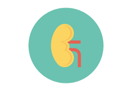 ΝΕΦΡΟΛΟΓΟΣ ΣΤΕΡΑΤΖΙΑ ΛΕΜΕΣΟΣ ΔΗΜΗΤΡΙΟΥ ΔΗΜΗΤΡΗΣ