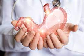 ΓΑΣΤΡΕΝΤΕΡΟΛΟΓΟΣ ΔΙΟΝΥΣΟΣ ΑΤΤΙΚΗ ΓΡΑΜΜΑΤΙΚΟΣ ΚΩΝΣΤΑΝΤΙΝΟΣ