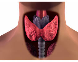 ΕΝΔΟΚΡΙΝΟΛΟΓΟΣ ΔΙΑΒΗΤΟΛΟΓΟΣ ΛΑΡΙΣΑ ΤΑΜΟΥΡΙΔΗΣ ΝΙΚΟΛΑΟΣ