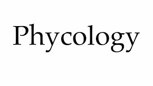 ΨΥΧΙΑΤΡΟΣ ΙΩΑΝΝΙΝΑ ΠΕΡΙΤΟΓΙΑΝΝΗΣ ΒΑΪΟΣ